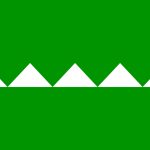 Bandera de Salinas