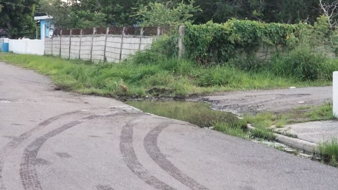 Candidata a la alcaldía de Salinas denuncia abandone de la comunidad San Felipe